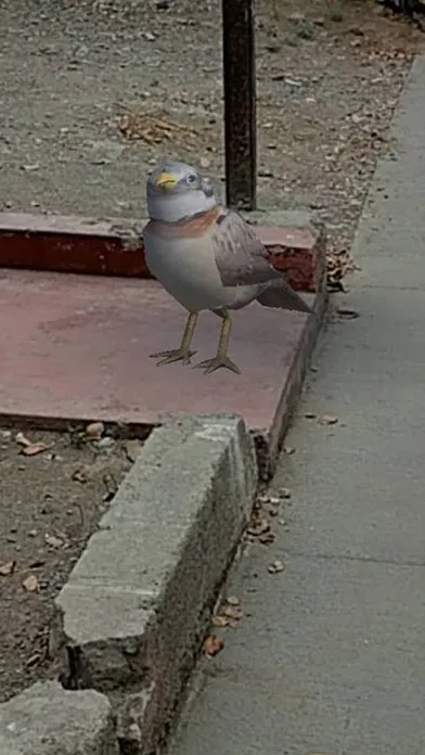 Fauna GO स्क्रीनशॉट