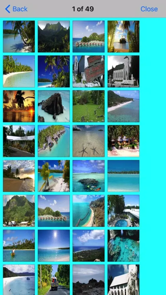 Island In Cook Screenshots