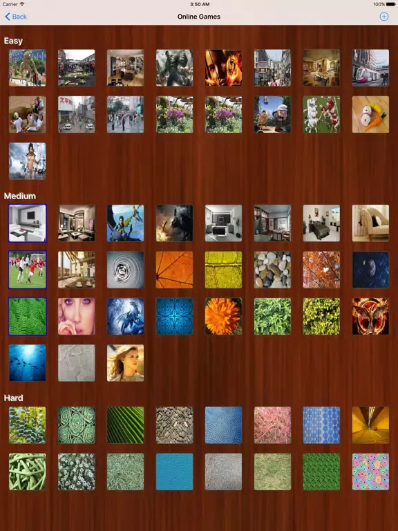 Jumbled Photo iPad  স্ক্রিনশট