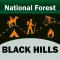 Black Hills National Forest!