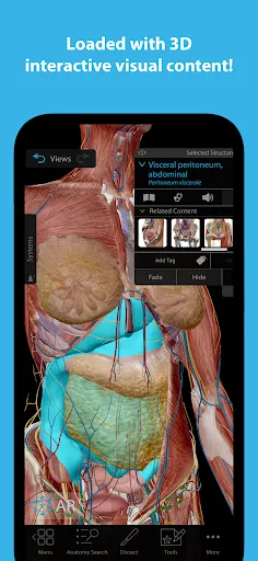 تصاویر Human Anatomy Atlas 2024