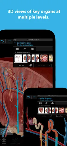 تصاویر Human Anatomy Atlas 2024