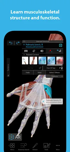 تصاویر Human Anatomy Atlas 2024
