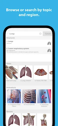 تصاویر Human Anatomy Atlas 2024