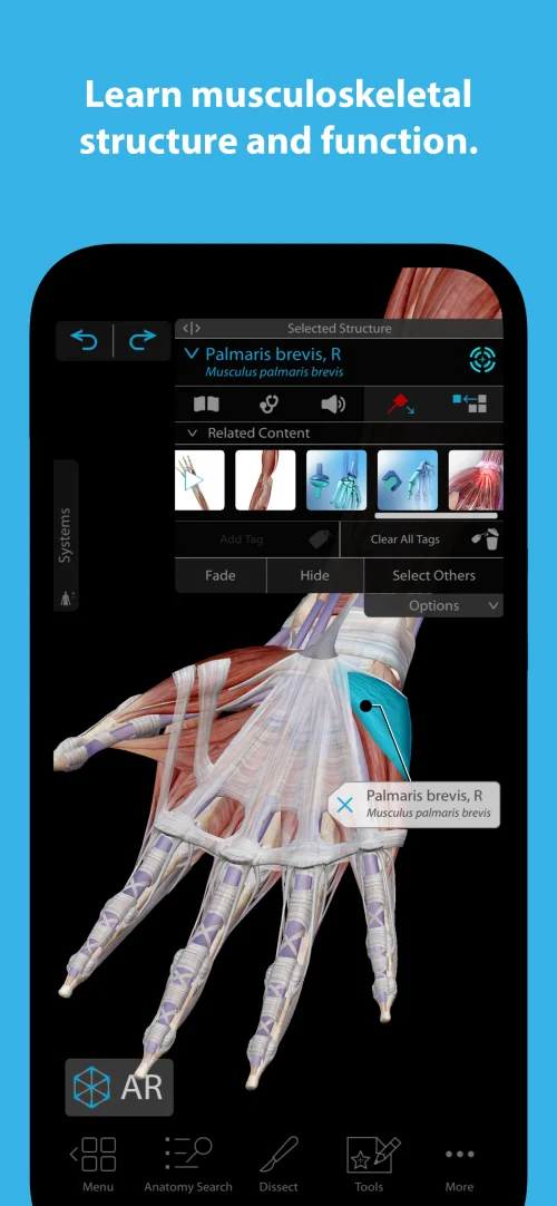 Human Anatomy Atlas 2024-screenshot-3