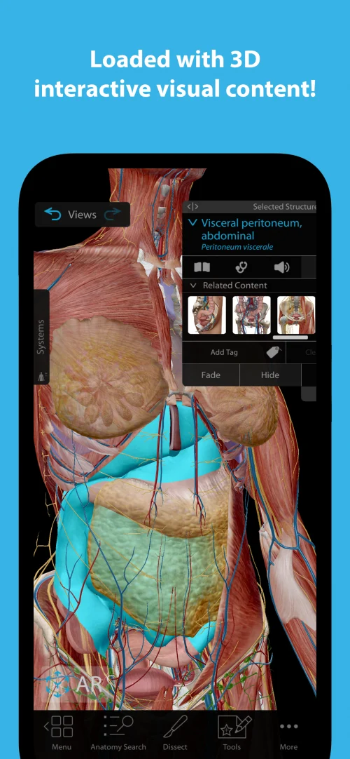 Human Anatomy Atlas 2024-screenshot-5