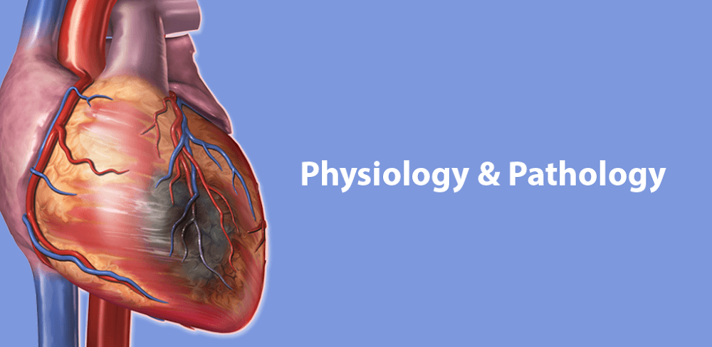 Physiology & Pathology