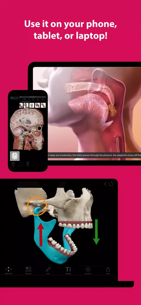 Visible Body Suite سکرین شاٹس