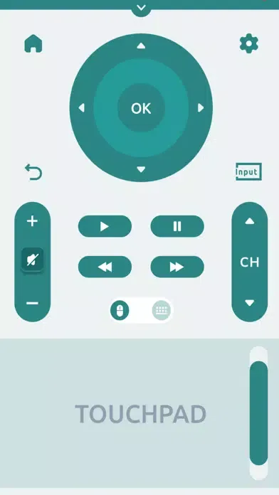 Visio Universal TV Remote Cast应用截图