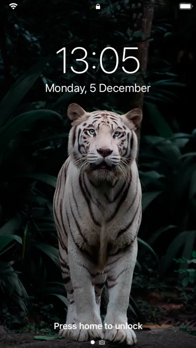 Ảnh chụp màn hình của Wallpapers 4K 3D - Vision