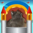 Kitty Castle Books