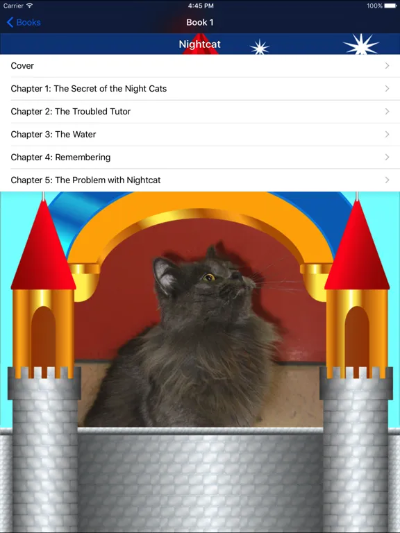 Captures d'écran de Kitty Castle Books iPad 