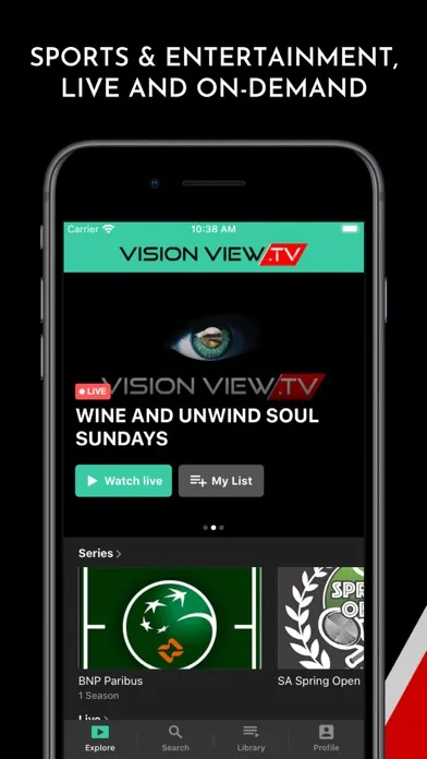 Screenshot di Vision View TV