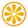 VisitBasis Merchandising