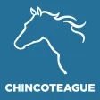 Chincoteague Island VA