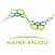 LABORIZON MAINE ANJOU