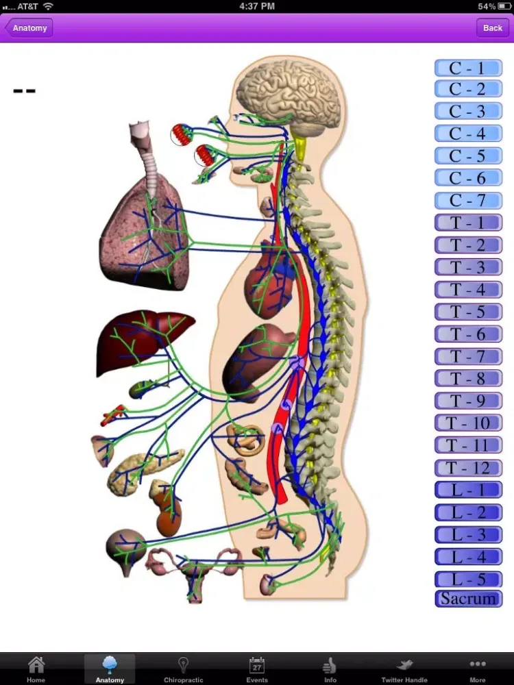 Tangkapan skrin NeuropatholatorApp iPad 