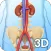 My Urinary System