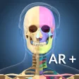 AR Skeleton Anatomy AR Skeleton Anatomy