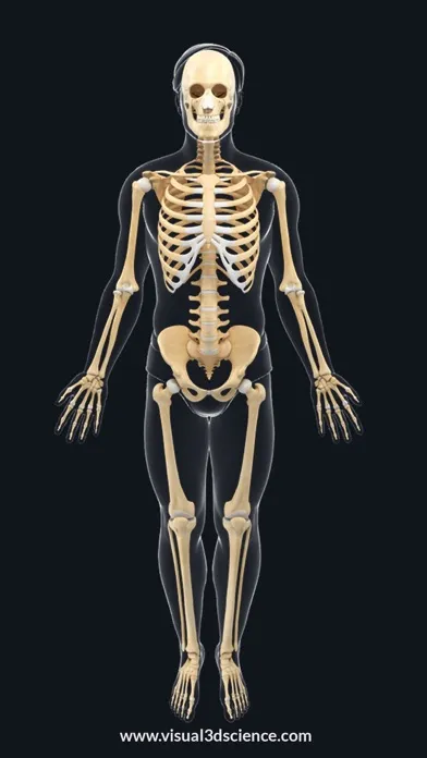 ภาพหน้าจอของ AR Skeleton Anatomy