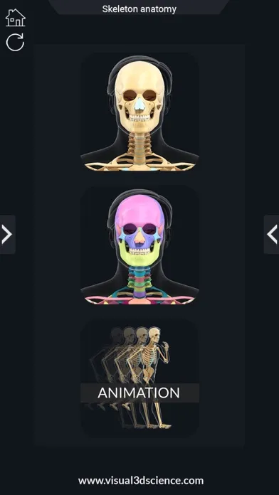 ภาพหน้าจอของ AR Skeleton Anatomy