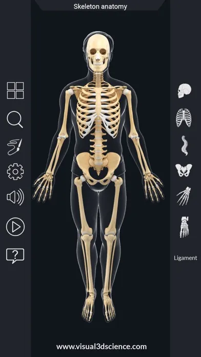 ภาพหน้าจอของ AR Skeleton Anatomy