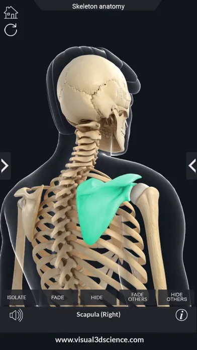 ภาพหน้าจอของ AR Skeleton Anatomy
