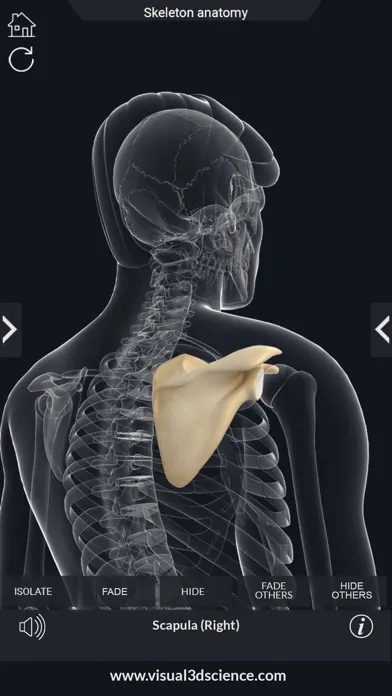 ภาพหน้าจอของ AR Skeleton Anatomy