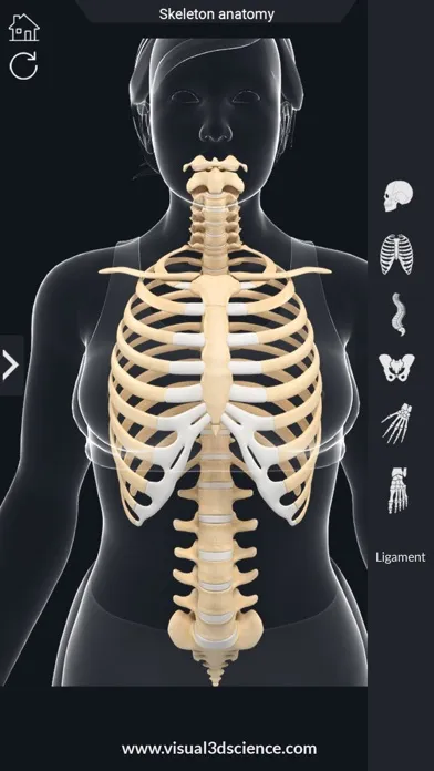 ภาพหน้าจอของ AR Skeleton Anatomy