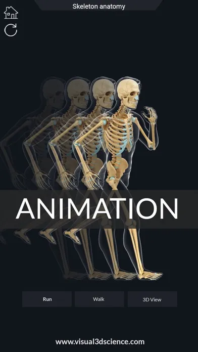 ภาพหน้าจอของ AR Skeleton Anatomy