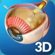 My Eye Anatomy My Eye Anatomy