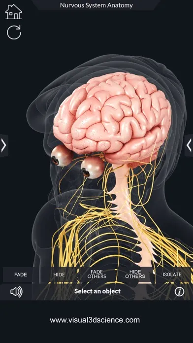 Ảnh chụp màn hình của My Nervous System Anatomy