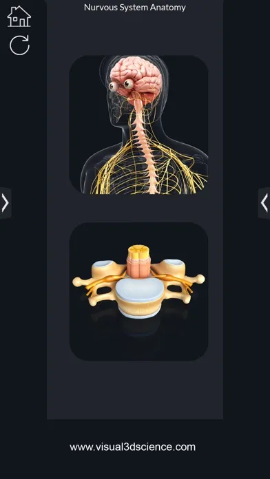 Ảnh chụp màn hình của My Nervous System Anatomy