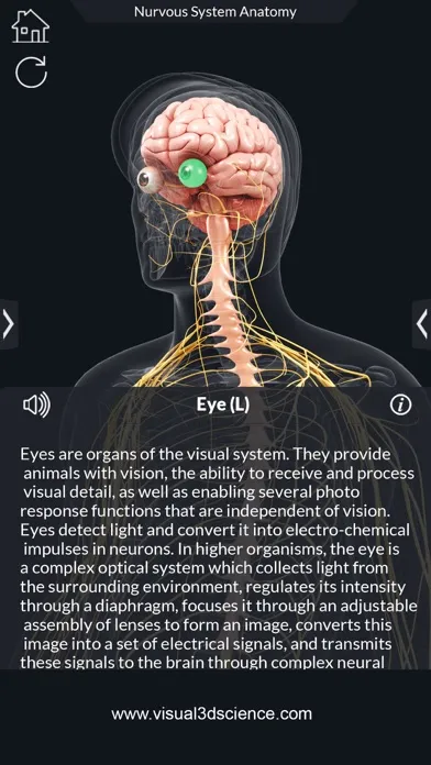 Ảnh chụp màn hình của My Nervous System Anatomy