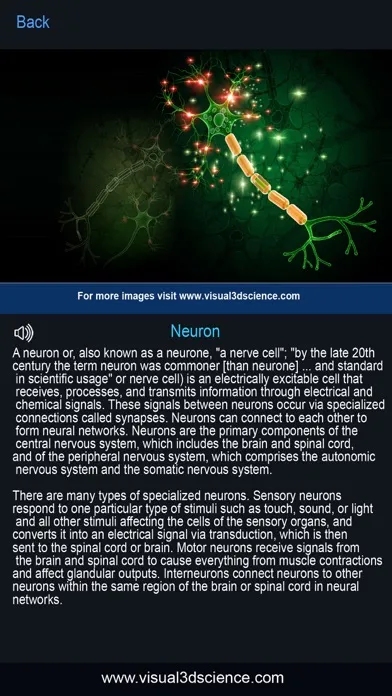 Ảnh chụp màn hình của My Nervous System Anatomy