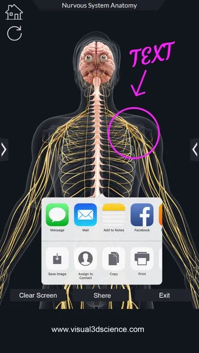 Ảnh chụp màn hình của My Nervous System Anatomy