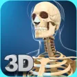 My Skeleton Anatomy My Skeleton Anatomy