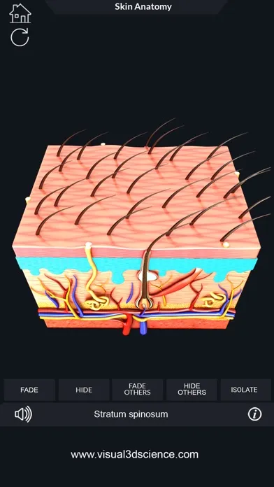 Tangkapan layar My Skin Anatomy