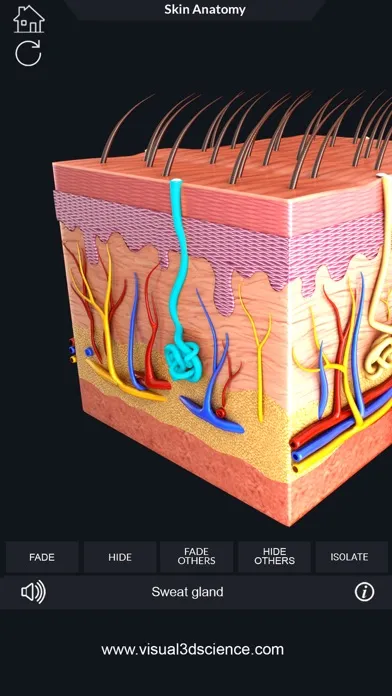 Tangkapan layar My Skin Anatomy