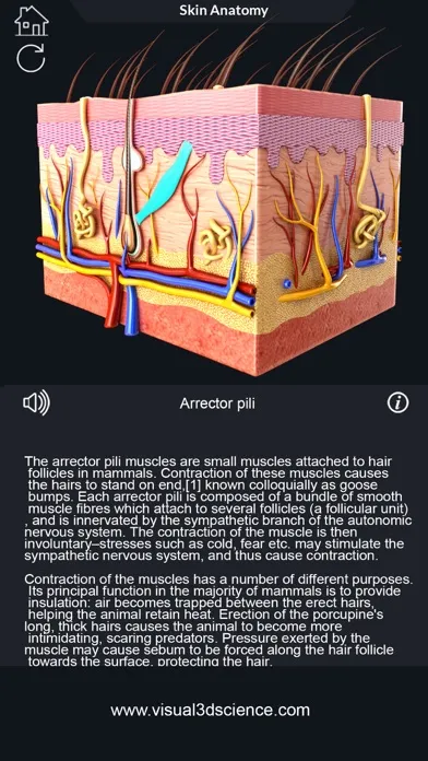Tangkapan layar My Skin Anatomy