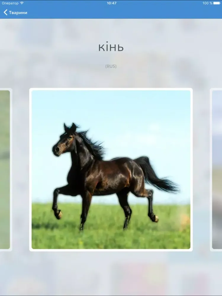 Screenshot di Visual слова в картинках RU-UK iPad 