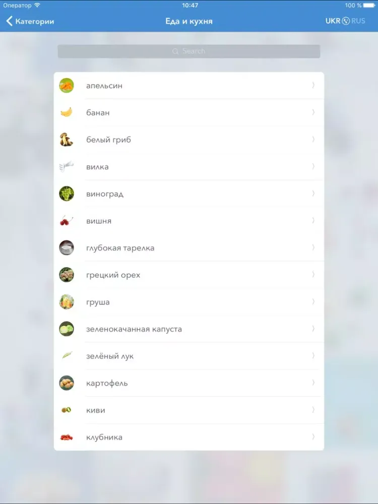 Screenshot di Visual слова в картинках RU-UK iPad 