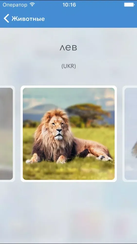 Screenshot di Visual слова в картинках RU-UK