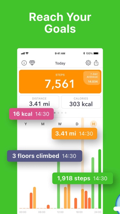 Tangkapan layar Stepz - Step Counter & Tracker