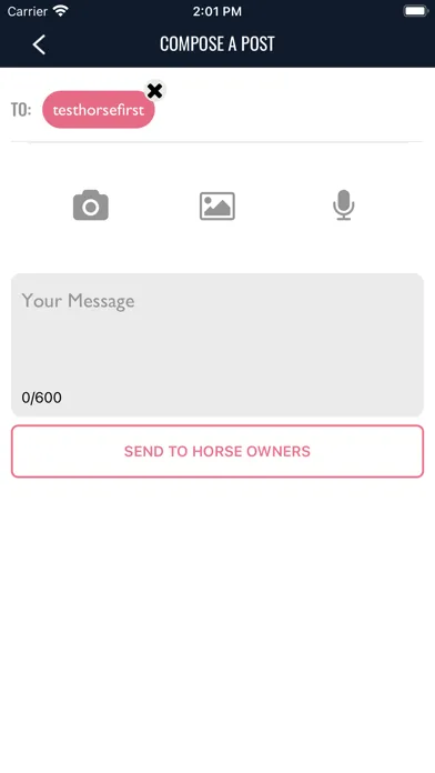 Captures d'écran de The Racing Manager