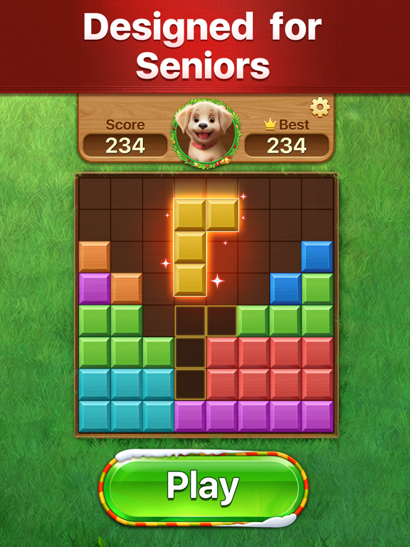 Vita Block for Seniors iPad 应用截图