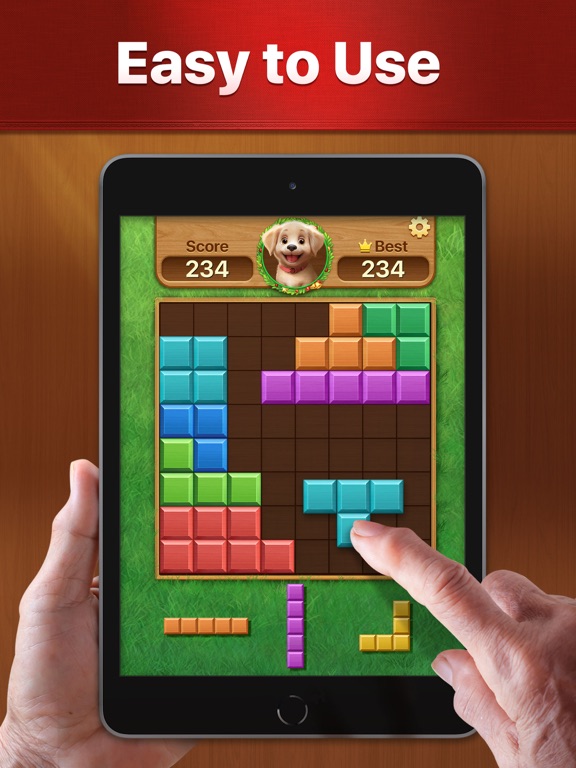 Vita Block for Seniors iPad 应用截图