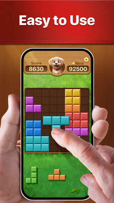 Vita Block for Seniors应用截图