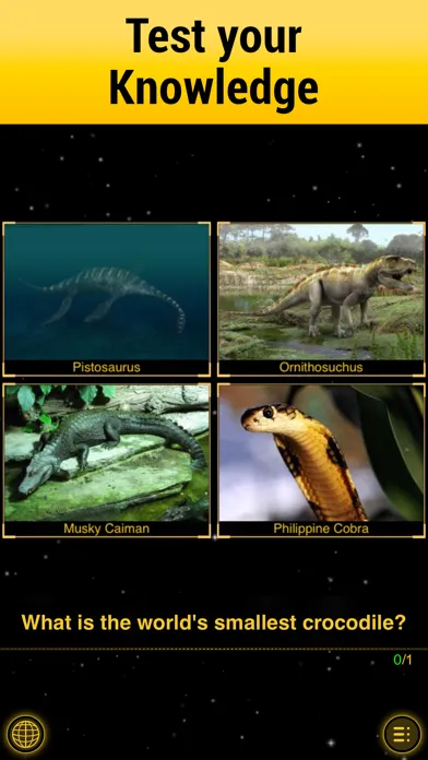 صور Dino Walk - Your World History