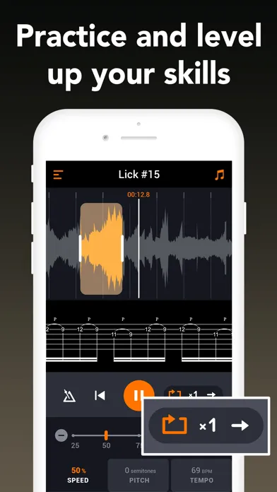 Learn and Play – Guitar Licks应用截图